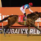 dubai world cup bet